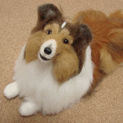 羊毛フェルトの犬・シェルティ1505 1枚目の画像