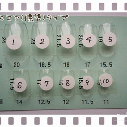 サイズ確認用サンプルチップセット(２種類セット) 1枚目の画像