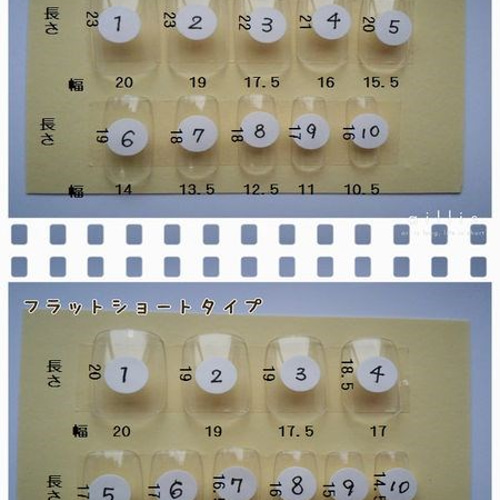 サイズ確認用サンプルチップセット(2種類セット) ネイルチップ（つけ 