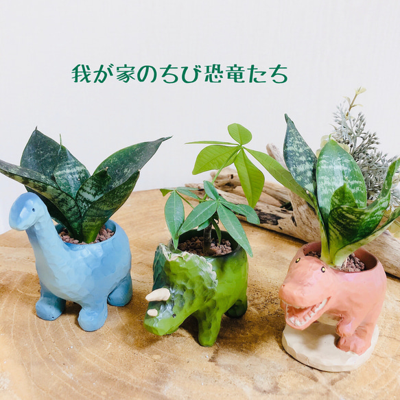 全員集合！デスクに置ける癒しのグリーン 恐竜3個セット ハイドロ