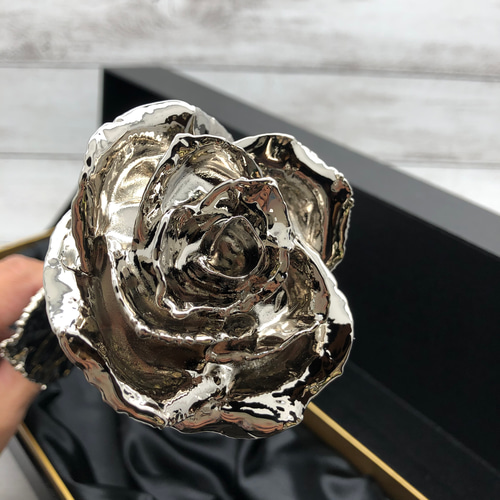 プラチナローズ・バラ