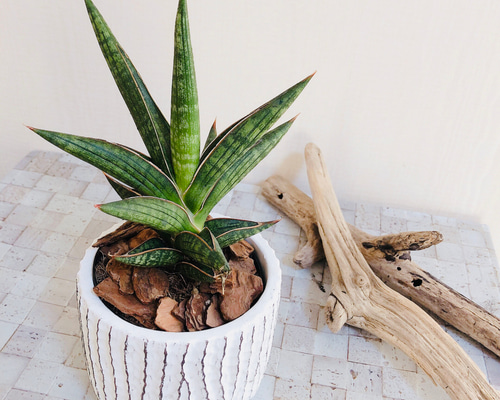 1_fe77fa3a0a1c4c9c5fac168f6c0c