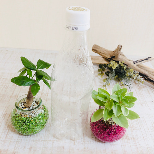 Sand Bottle『パキラ＆ペペロミア』Round カラーサンド グリーン
