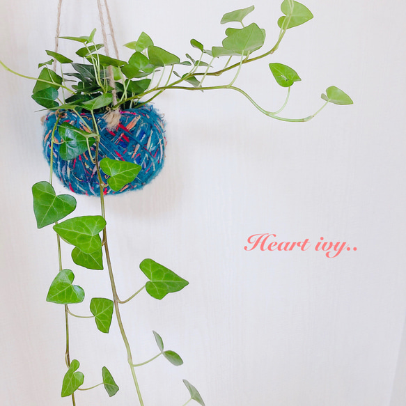 『ハートアイビーアイビー』ヤーンプランター　観葉植物　インテリア　壁掛け 1枚目の画像