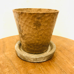 アロマティカス　ヒノキの香る鉢　4号　観葉植物　インテリア　ポトス　アロマ　ギフト 5枚目の画像