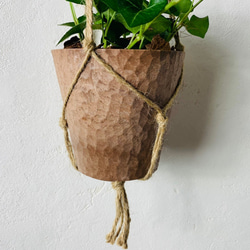 木の香りがする　ハンギング　アロマ鉢セット　シュガーバイン　つる性ガジュマル　4号　壁掛け 観葉植物　インテリア 5枚目の画像