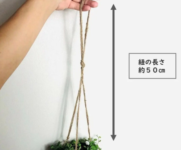 木の香りがする　ハンギング　アロマ鉢セット　シュガーバイン　つる性ガジュマル　4号　壁掛け 観葉植物　インテリア 10枚目の画像