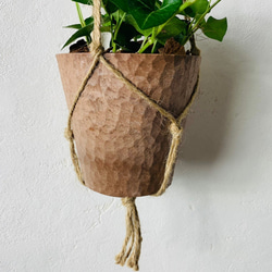 【大人気】木の香りがする　ハンギング　アロマ鉢　つる性ガジュマル　4号　壁掛け 観葉植物　インテリア 4枚目の画像