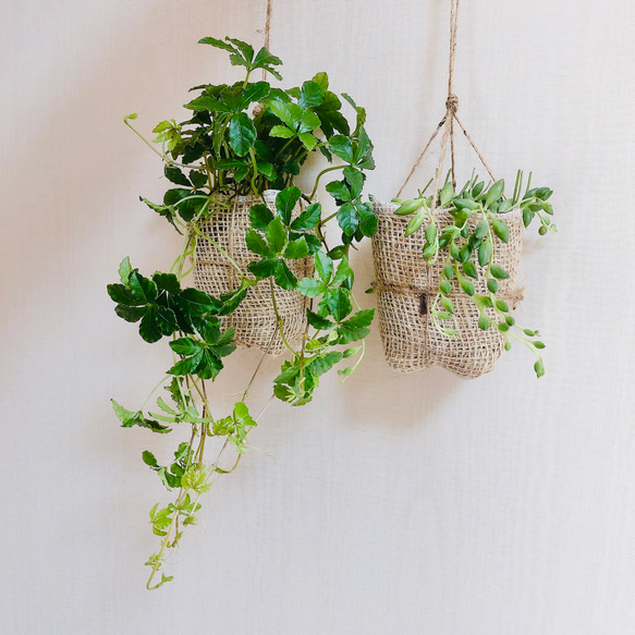 lovelyセット　シュガーバイン&グリーンネックレス 麻布　　壁掛けインテリア　観葉植物 3枚目の画像