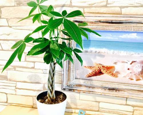 0_9bc508545cf0a74ba937b74a7459