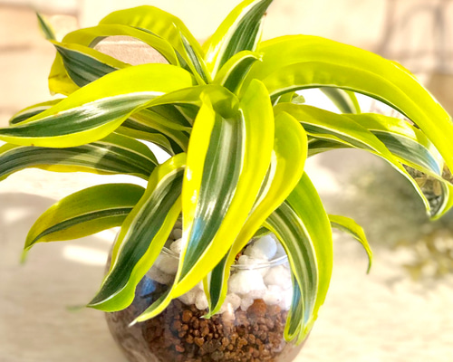 0_509483c21388377ed0971caafaec