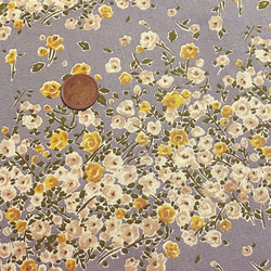 水彩花柄　綿プリント　生地　シーチング　淡いグレー地　110ｘ50ｃｍ     少しレトロな懐かしさと、 爽やかさを合せ 2枚目の画像