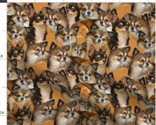 0_e6c80446dcd1cd60b80547006ea7