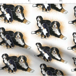犬 犬柄 バーニーズマウンテンドッグの可愛すぎるデザイン 輸入生地 生地 ハンドメイド 素材 ペット ワンちゃん 1枚目の画像