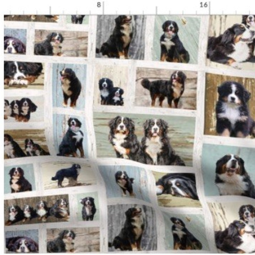 犬 犬柄 バーニーズマウンテンドッグの可愛すぎるデザイン 輸入生地