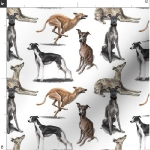 New 犬 犬柄 超レア ウィペット グレーハウンド ハウンドドッグ 犬柄 