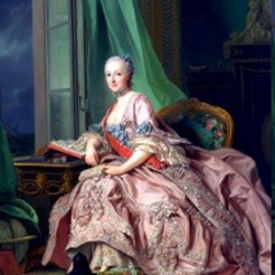マリーアントワネット 生地 輸入生地 ピンクのドレスの肖像画 中世フレンチ宮廷 3枚目の画像