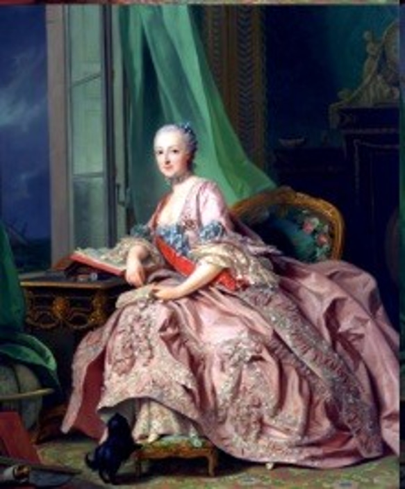 マリーアントワネット 生地 輸入生地 ピンクのドレスの肖像画 中世フレンチ宮廷 3枚目の画像