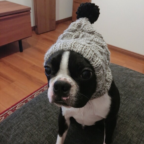 大きめサイズ 大好評♪ 手編み■ 犬 スヌード ■ ボストンテリア ニット帽 大きめサイズ 大人気♪ 手編み◇ 犬 スヌード ◇ イタグレ