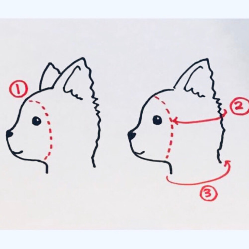 大きめサイズ 大好評♪ 手編み■ 犬 スヌード ■ ボストンテリア ニット帽 大きめサイズ 大人気♪ 手編み◇ 犬 スヌード ◇ イタグレ