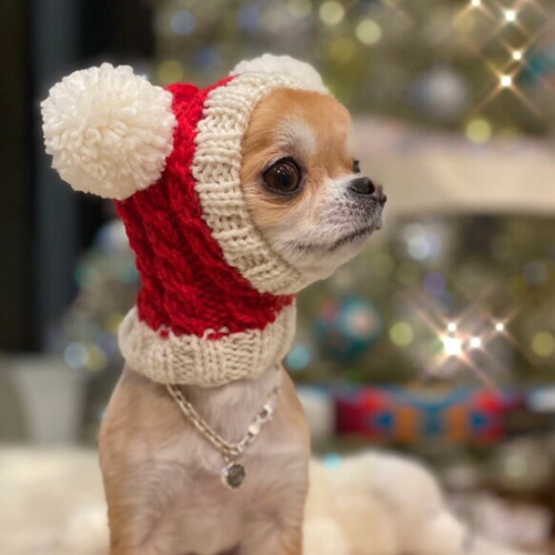 新作♪ 注目度No.1□ツインテールのフェアリー帽子□ SS〜Mサイズ