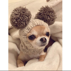 オーダー受付パネル♡ベレー帽のチワワ 1_ee84f8a20f9e6597663a338fbb5a