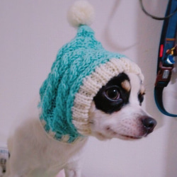 wakame様◆大きめサイズ 手編み◆ 犬 イタグレ ウィペット ボストンテリア 耳カバー 帽子 ニット帽 スヌード 1枚目の画像
