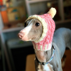 wakame様◆大きめサイズ 手編み◆ 犬 イタグレ ウィペット ボストンテリア 耳カバー 帽子 ニット帽 スヌード 2枚目の画像