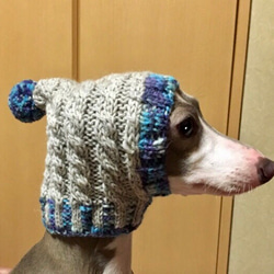 wakame様◆大きめサイズ 手編み◆ 犬 イタグレ ウィペット ボストンテリア 耳カバー 帽子 ニット帽 スヌード 4枚目の画像