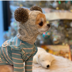 マロンさま専用 差額分■ ツインテールのフェアリー帽子 ■ 犬 ニット帽 ぼうし 小型犬 耳カバー スヌード 2枚目の画像