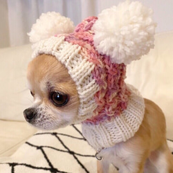 マロンさま専用 差額分■ ツインテールのフェアリー帽子 ■ 犬 ニット帽 ぼうし 小型犬 耳カバー スヌード 3枚目の画像