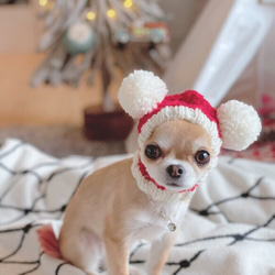 マロンさま専用 差額分■ ツインテールのフェアリー帽子 ■ 犬 ニット帽 ぼうし 小型犬 耳カバー スヌード 4枚目の画像