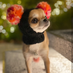 マロンさま専用 差額分■ ツインテールのフェアリー帽子 ■ 犬 ニット帽 ぼうし 小型犬 耳カバー スヌード 6枚目の画像