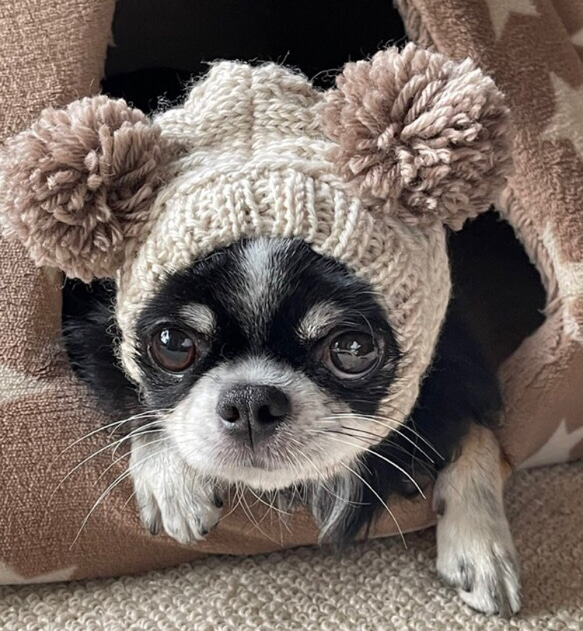 大好評♪ 手編み □ツインテールのフェアリー帽子□ SS〜Mサイズ