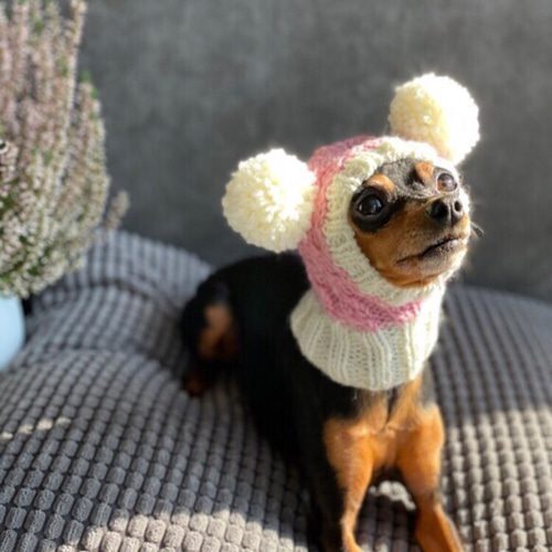 大人気♪ 新作 ☆ ツインテールのフェアリー帽子 ☆ 犬 ニット帽