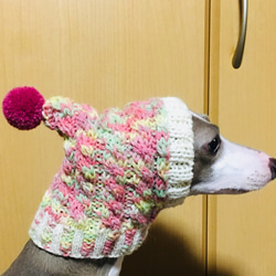 オーダー製作♪ 手編み◆ 犬用 帽子 ◆ イタグレ チワワ 小型犬 ウエア 犬 ぼうし スヌード 2枚目の画像