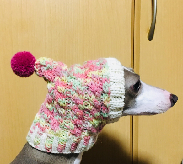 アイボリーベア 犬用帽子 ニット帽 被り物 犬用服 イタグレ服