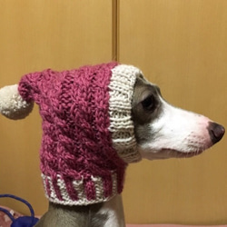 お得なペア♪ 北欧風♪ 手編み ◆ 犬用帽子 ◆ スヌード イタグレ ミニピン チワワ 犬 ウエア ハンドニット 2枚目の画像