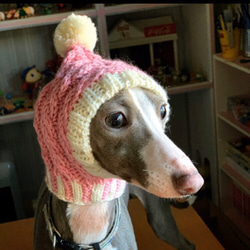 お得なペア♪ 北欧風♪ 手編み ◆ 犬用帽子 ◆ スヌード イタグレ ミニピン チワワ 犬 ウエア ハンドニット 4枚目の画像