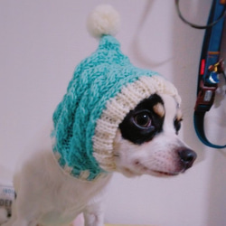 お得なペア♪ 北欧風♪ 手編み ◆ 犬用帽子 ◆ スヌード イタグレ ミニピン チワワ 犬 ウエア ハンドニット 5枚目の画像