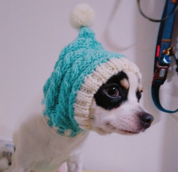 お得なペア♪ 北欧風♪ 手編み ◆ 犬用帽子 ◆ スヌード イタグレ ミニピン チワワ 犬 ウエア ハンドニット 5枚目の画像