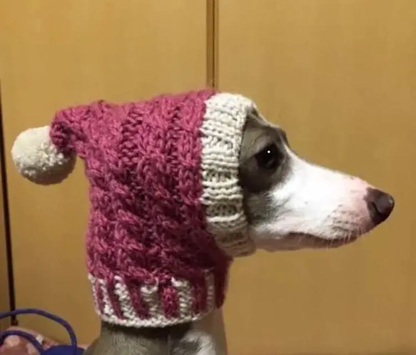即納♪ 手編み ◆ 犬 スヌード ◆北欧風 イタグレ トイプー マルチーズ  ダックス 小型犬 ウエア ニット帽 帽子 1枚目の画像