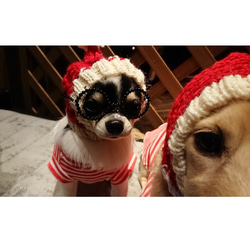 即納♪ 期間限定 クリスマス 帽子 ■ 手編みスヌード ■ イタグレ チワワ ウエア Xmas ニット帽 コスプレ 犬 2枚目の画像