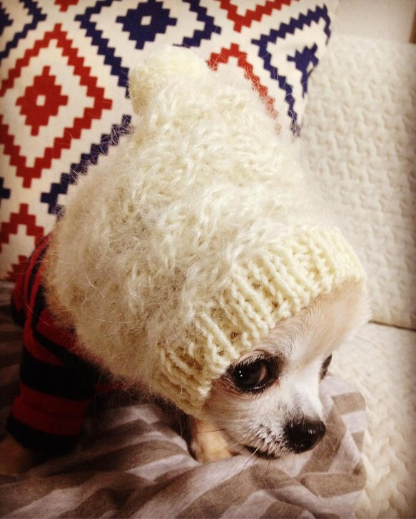 大人気♪ ◆ モヘア で妖精風 ラブリー スヌード ◆手編み ミニピン イタグレ 小型犬 ウエア 帽子 ニット帽 被り物 2枚目の画像