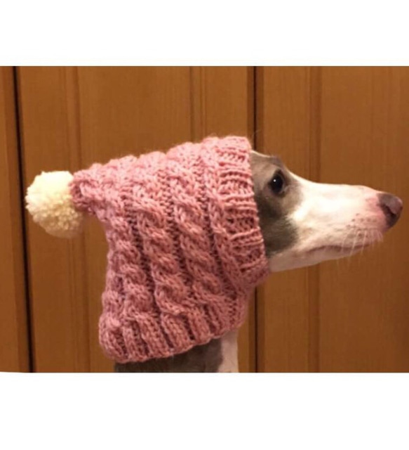 オールシーズン対応 手洗い可■ スヌード M size ■ コットンウール 犬 ウエア 手編み イタグレ 7枚目の画像