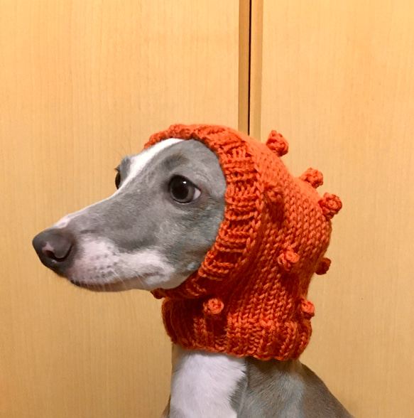 新作♪ 手編み ◆ ぽこぽこ 水玉 の スヌード ◆ 小型犬 ウエア チワワ  イタグレ ミニピン トイプー ニット帽 2枚目の画像