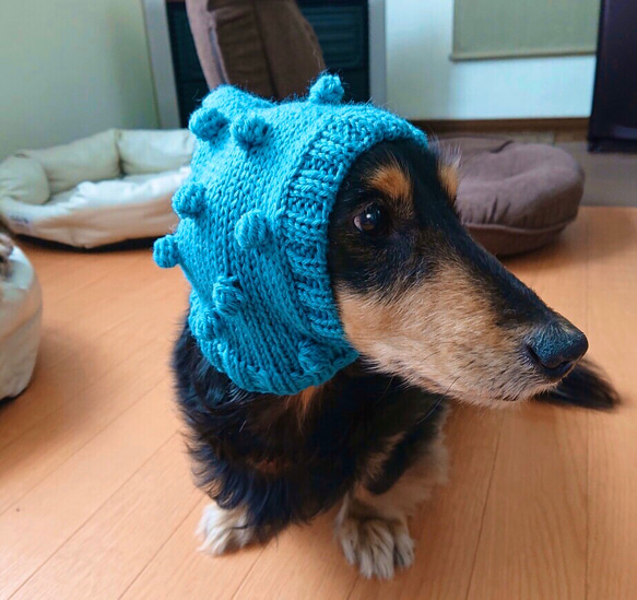 新作♪ 手編み ◆ ぽこぽこ 水玉 の スヌード ◆ 小型犬 ウエア チワワ  イタグレ ミニピン トイプー ニット帽 4枚目の画像