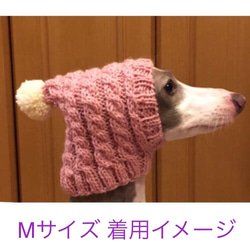 新作♪ 手編み ◆ ぽこぽこ 水玉 の スヌード ◆ 小型犬 ウエア チワワ  イタグレ ミニピン トイプー ニット帽 8枚目の画像