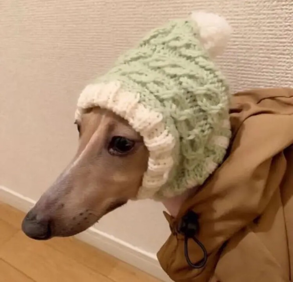 手編み 北欧風 ■ 犬用帽子 スヌード  ■ イタグレ チワワ トイプー 犬 ウエア ニット帽 ポンポン帽子　 1枚目の画像