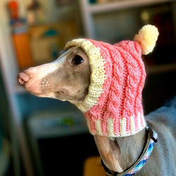 手編み 北欧風 ■ 犬用帽子 スヌード  ■ イタグレ チワワ トイプー 犬 ウエア ニット帽 ポンポン帽子　 3枚目の画像